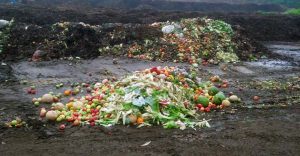 NOPE carries businesses' food waste to composting facilities. 