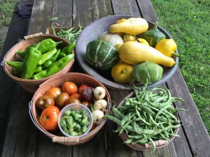 Residents will have access to organic produce from the garden.