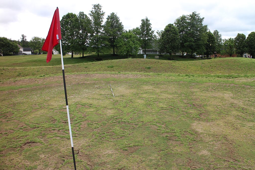 One of dried-out greens at River's Bend golf course. (BizSense file photo)