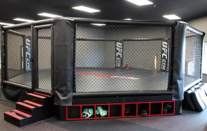 In Richmond, UFC Gym's octagon is slightly smaller than regulation-sized cages. (Mike Platania)