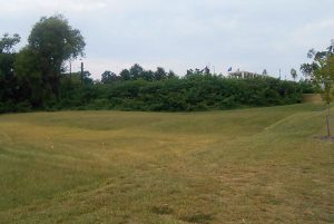 The site of the proposed amphitheater, with the Virginia War Memorial in the background. The overgrown area is part of the canal. (Photo by Burl Rolett)