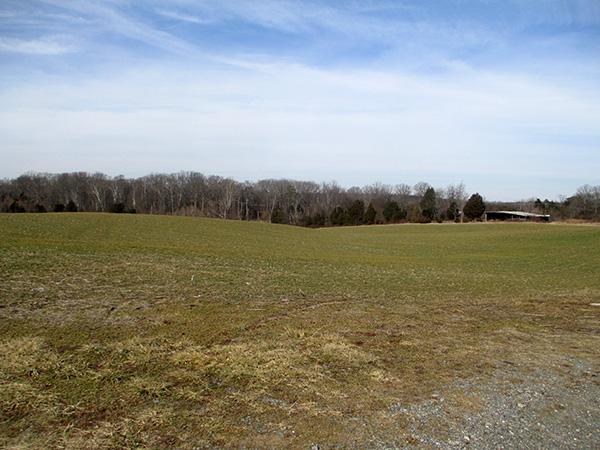 Part of the 75-acre Nuckols Farm property.