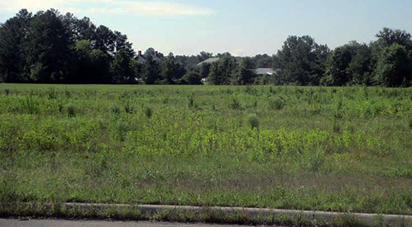 The 5.5 acre lot is the future site of Hickman's Atlee jfkdlsa;fda industrial development. Photo by Burl Rolett. 