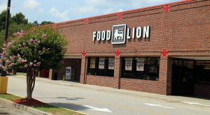 Food Lion 620