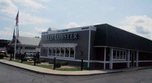 Red lobster 620