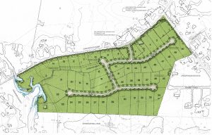Plans call for up to 50 homes on about three-quarters of an acre each. 