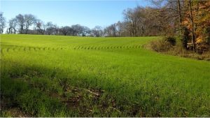 There is more than 200 acres of operational farmland on the property. 