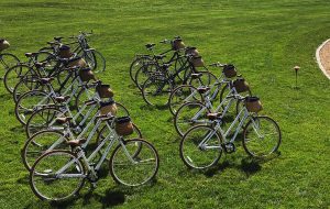 Bike & Basket's fleet of 16 bicycles.