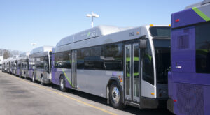 grtc1
