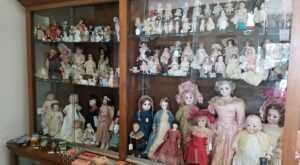 mchughs dolls display