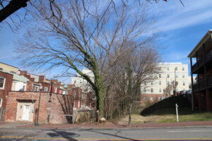 shockoe church hill 1910 E Broad