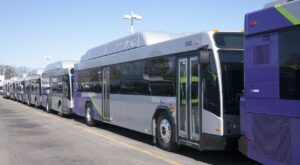 grtc buses cropped