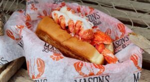 masons lobster roll Cropped