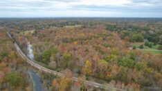 8703 River Rd 2